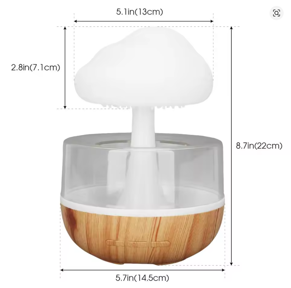Rain Cloud Humidifier
