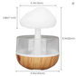 Rain Cloud Humidifier